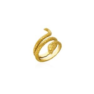 Anillo Serpiente Acero 316 L