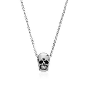 Colgante Calavera Skull Acero 316 L.