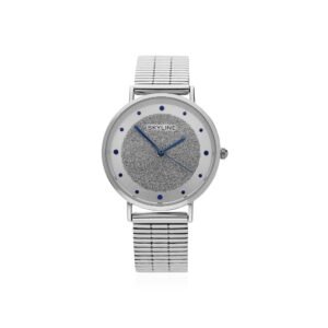 Reloj Shiny Acero 316 L
